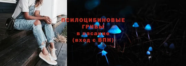 хмурый Абинск