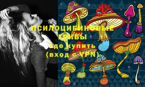 СК Абдулино