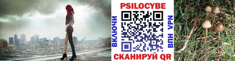Псилоцибиновые грибы прущие грибы  купить наркоту  Апатиты 